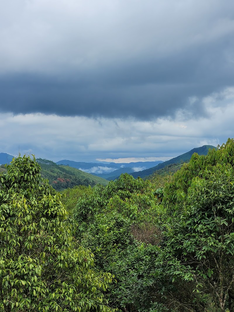 Serene Valley Resort - Serene Valley Resort Kottamala, Kerala 685503, India