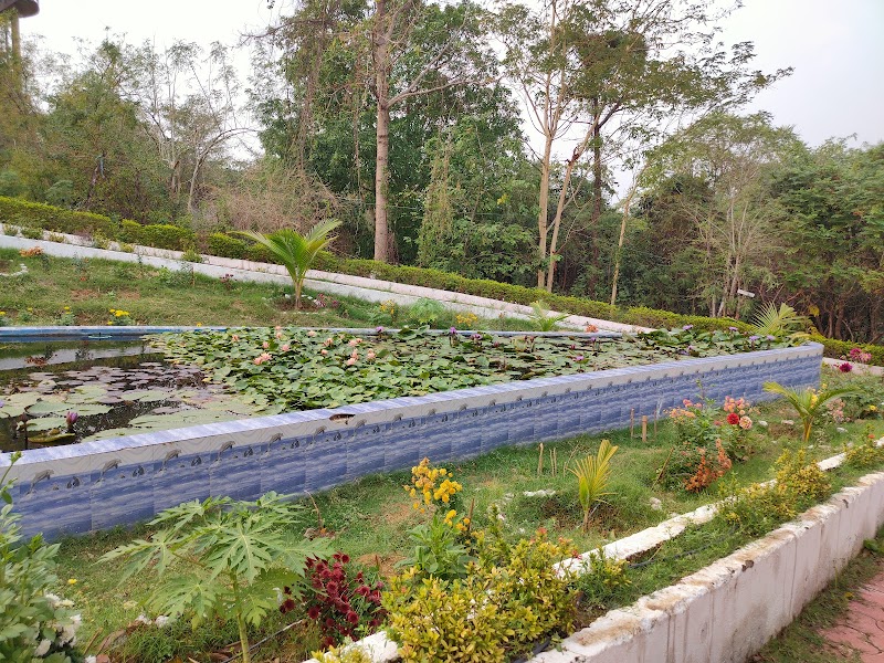 Aghor Ashram Pondi dalha - Aghor Ashram Pondi dalha 39JV+6WP, Pachri, Chhattisgarh 495552, India
