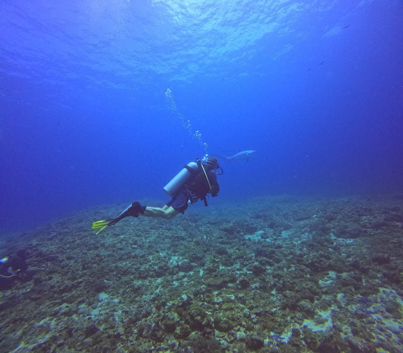 MTD Diveshop - MTD Diveshop Malapascua Island, Daanbantayan, 6013 Cebu, Philippines