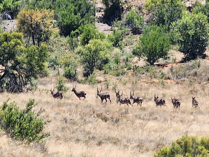 Karoo Safaris - Karoo Safaris, Langkloof Farm, Cradock, 5880, South Africa