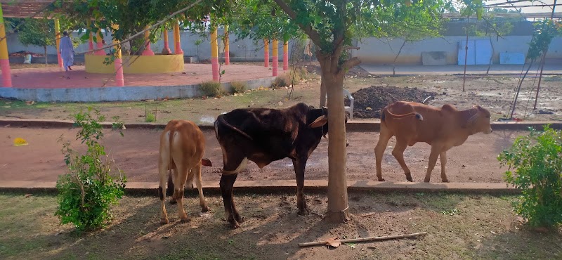 Sant Shri Asharamji Ashram Durg Chhattisgarh - Sant Shri Asharamji Ashram Durg Chhattisgarh 67QJ+GPM, Chikhli, Chhattisgarh 491001, India