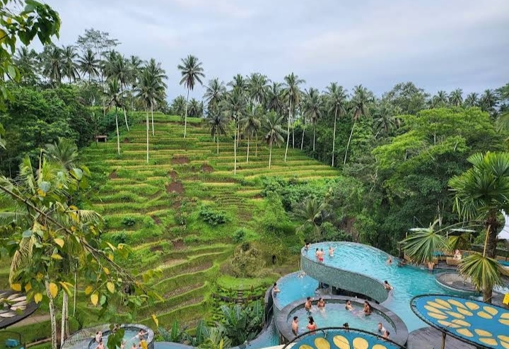Alas Harum Bali - Alas Harum Bali, Jl. Raya Tegallalang, Tegallalang, Kec. Tegallalang, Kabupaten Gianyar, Bali 80561, Indonesia