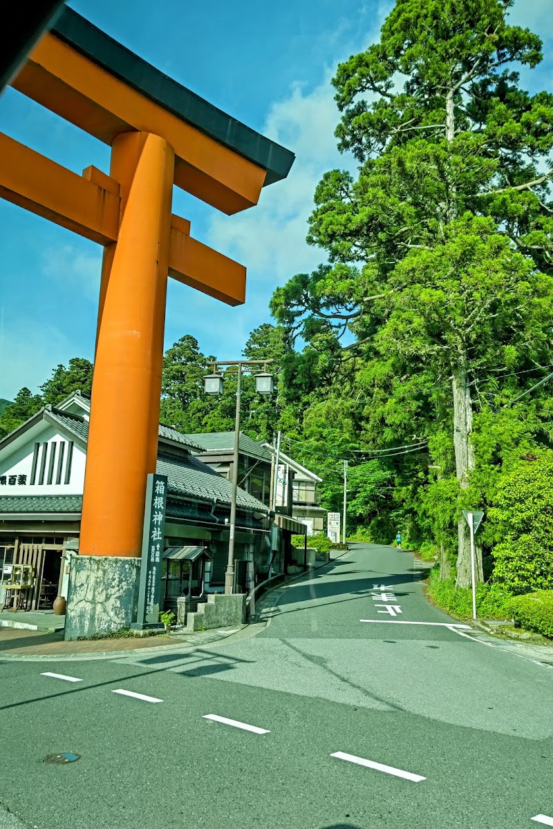 Hakone Shrine 1st Torii Gate - Hakone Shrine 1st Torii Gate, Japan, 〒250-0522 神奈川県足柄下郡箱根町元箱根東海道