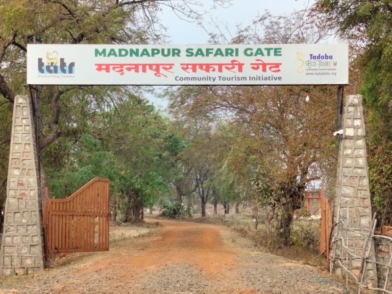 Madnapur Gate Tadoba (Buffer Zone) - Madnapur Gate Tadoba (Buffer Zone) 9CQ6+4Q8, Madnapur Tukum, Madnapur, Maharashtra 442903, India