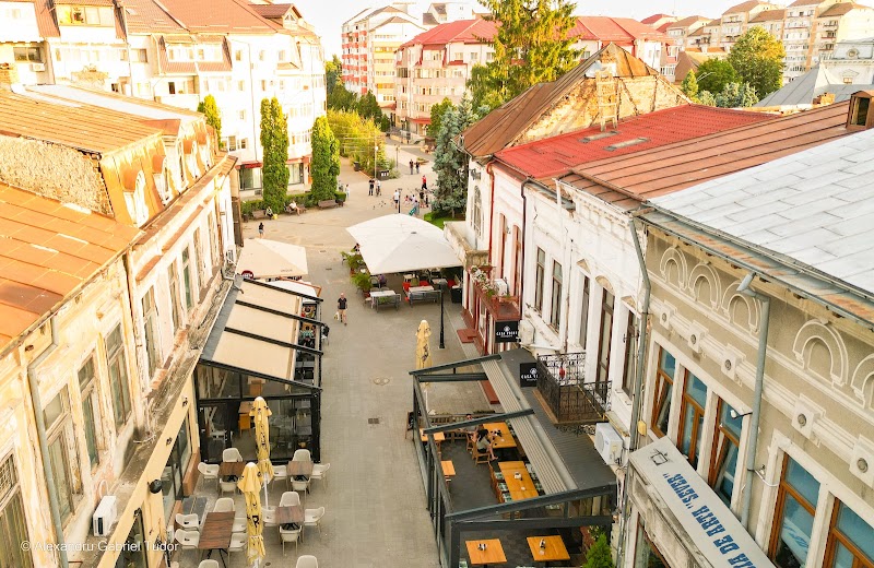 Centrul Vechi - Centrul Vechi, Strada Alexandru Ioan Cuza 31, Târgoviște, Romania