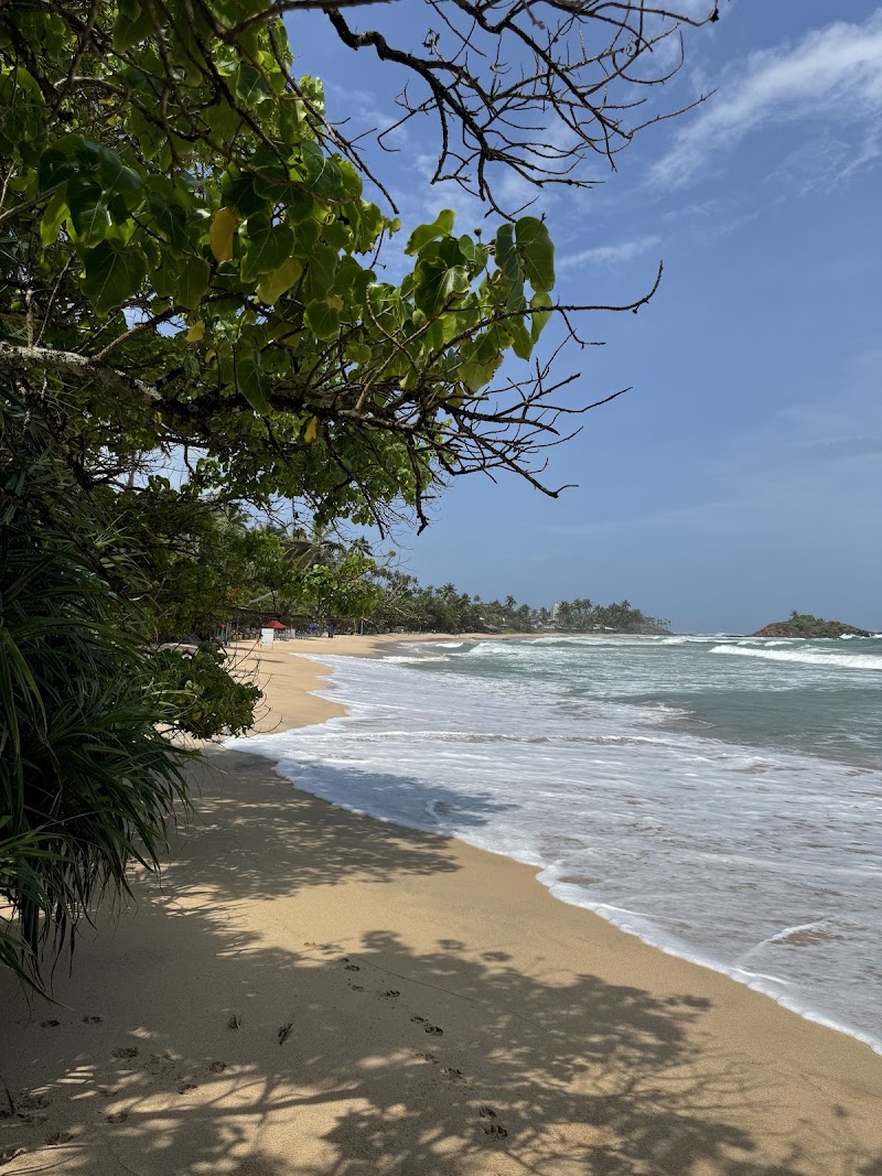 Mirissa Beach - Mirissa Beach Beach Rd, Mirissa, Sri Lanka