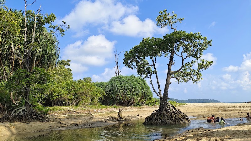 Chota Balu Beach - Chota Balu Beach Chidiya Tapu, Andaman and Nicobar Islands 744105, India
