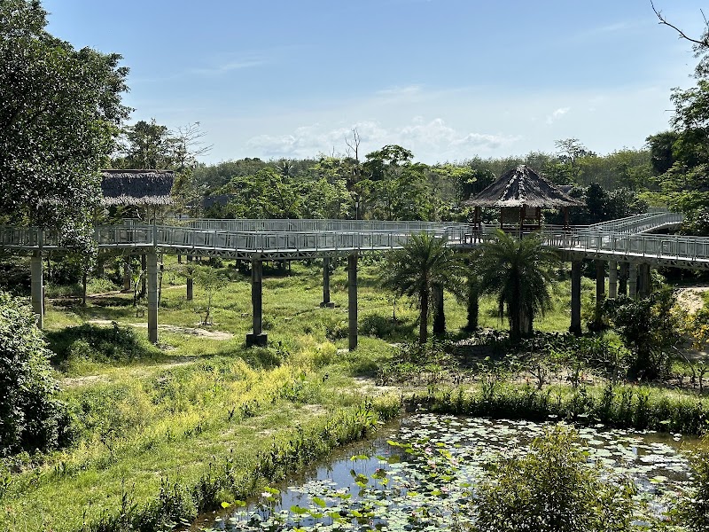 Phuket Elephant Sanctuary - Phuket Elephant Sanctuary 100, 9, Tambon Pa Klok, Amphoe Thalang, Chang Wat Phuket 83110, Thailand