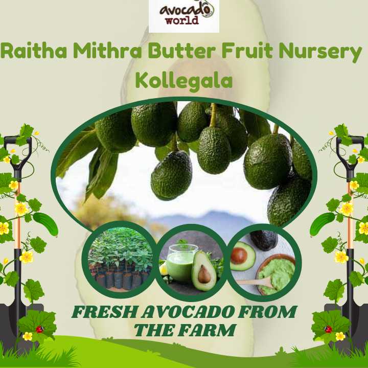 Roy Planters - Roy Planters, Kunthur, mole, uppara street, Kollegala, Kunthur, Karnataka 571442, India