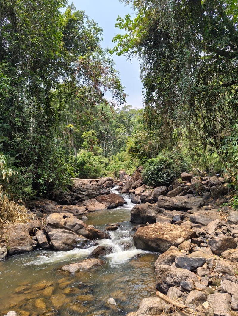 River wood cottages - River wood cottages Kallar Vattiyar, Kerala 685565, India