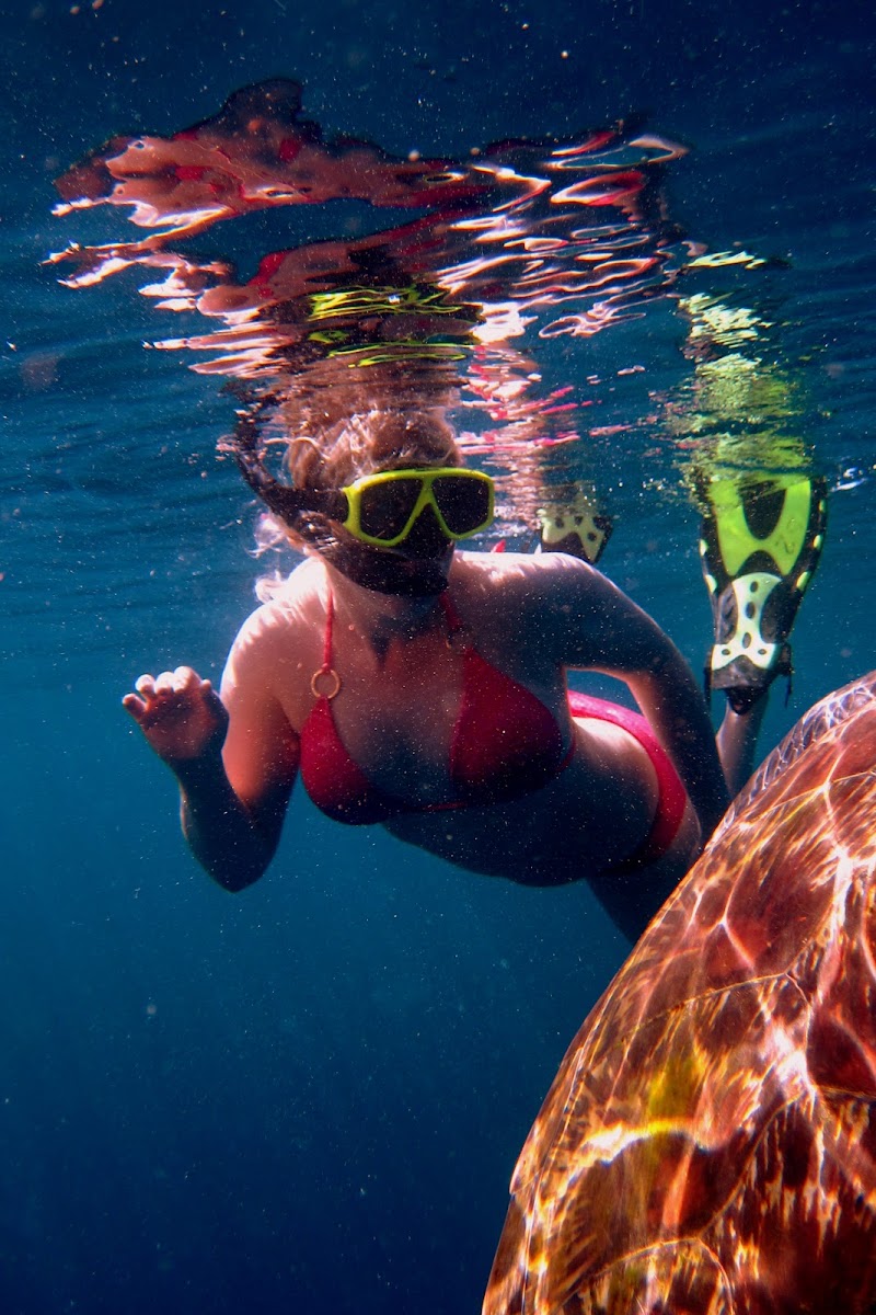Pirate Divers Khao Lak - Pirate Divers Khao Lak 61/1 Moo 5 Bang Niang, Khao lak, อำเภอตะกั่วป่า พังงา 82220, Thailand