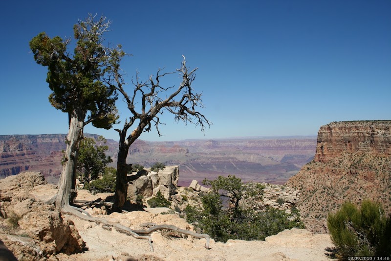 Desert View Drive - Desert View Drive, Desert View Dr, Grand Canyon Village, AZ, USA