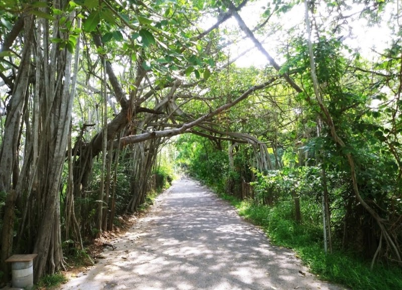 The Theosophical Society - The Theosophical Society, Arunachalapuram, Adyar, Chennai, Tamil Nadu 600020, India