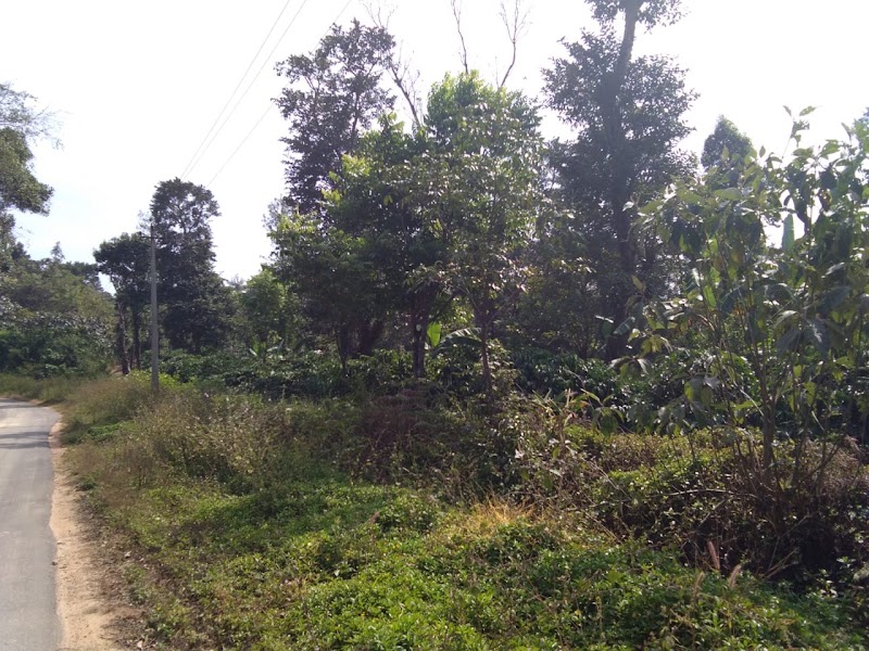 Devaladakere - Devaladakere, Karnataka 573165, India