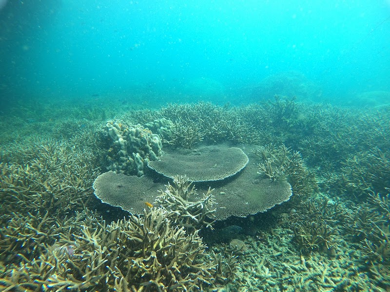 Shark Bay - Shark Bay Shark Bay, Bang Bumru, Bang Phlat, Bangkok 10700, Thailand