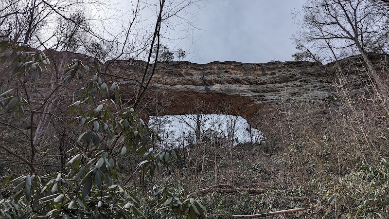 Natural Bridge State Park Woodland Center - Natural Bridge State Park Woodland Center 2135 Natural Bridge Road Slade, 2135 Cottage Rd, Slade, KY 40376, USA