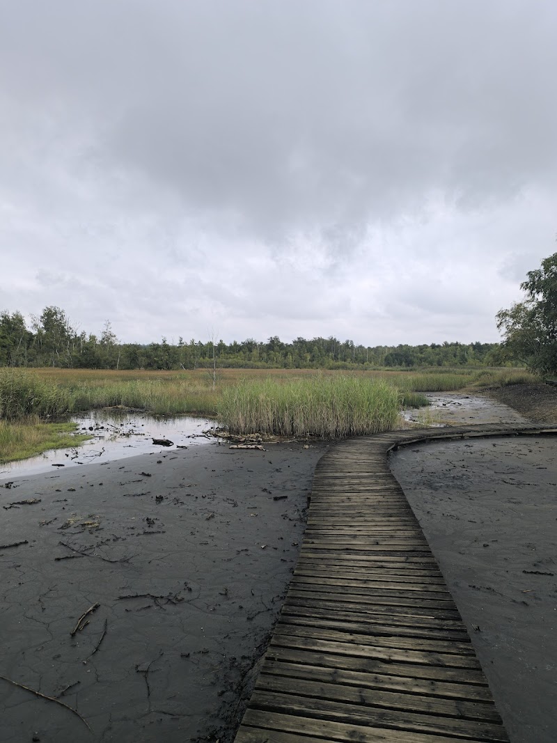 Parkoviště Soos - Parkoviště Soos, 351 Skalná, Czechia