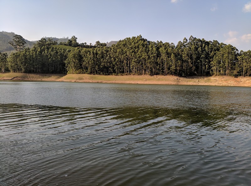 Banasura Ayurvedic &spices garden - Banasura Ayurvedic &spices garden Dam Road, Padinjarathara, Kerala 673575, India