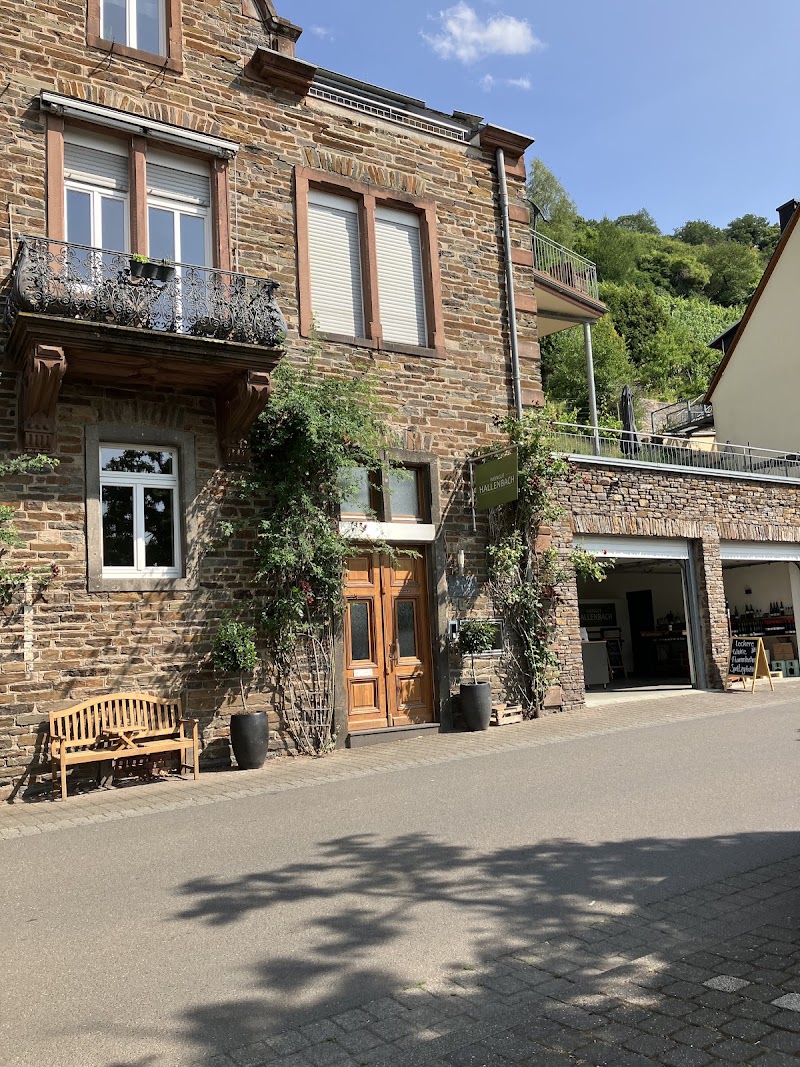 Ferienweingut Hallenbach - Ferienweingut Hallenbach, Brandenburg 20, 56856 Zell (Mosel)-Kaimt, Germany