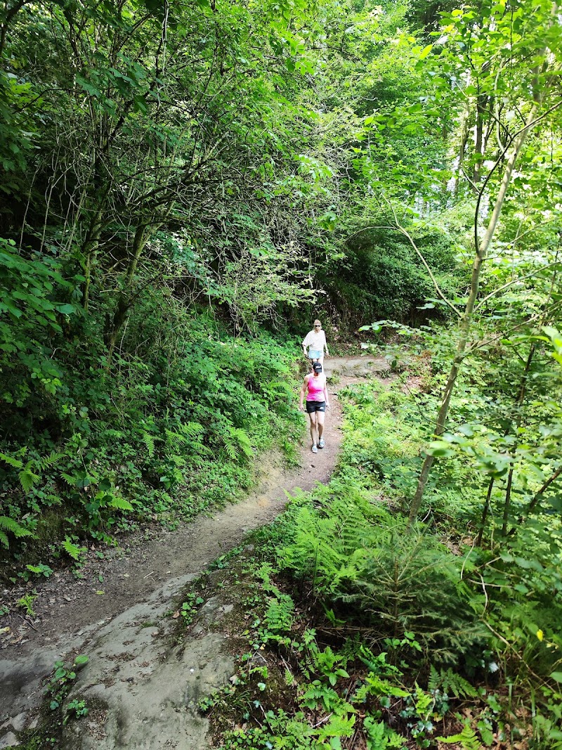 Naturpark Our - Naturpark Our, 12 Parc, 9839 Hosingen Parc Hosingen, Luxembourg