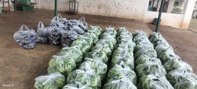 ACF - ACF, Achhoti, Hingnadih, Chhattisgarh 490036, India