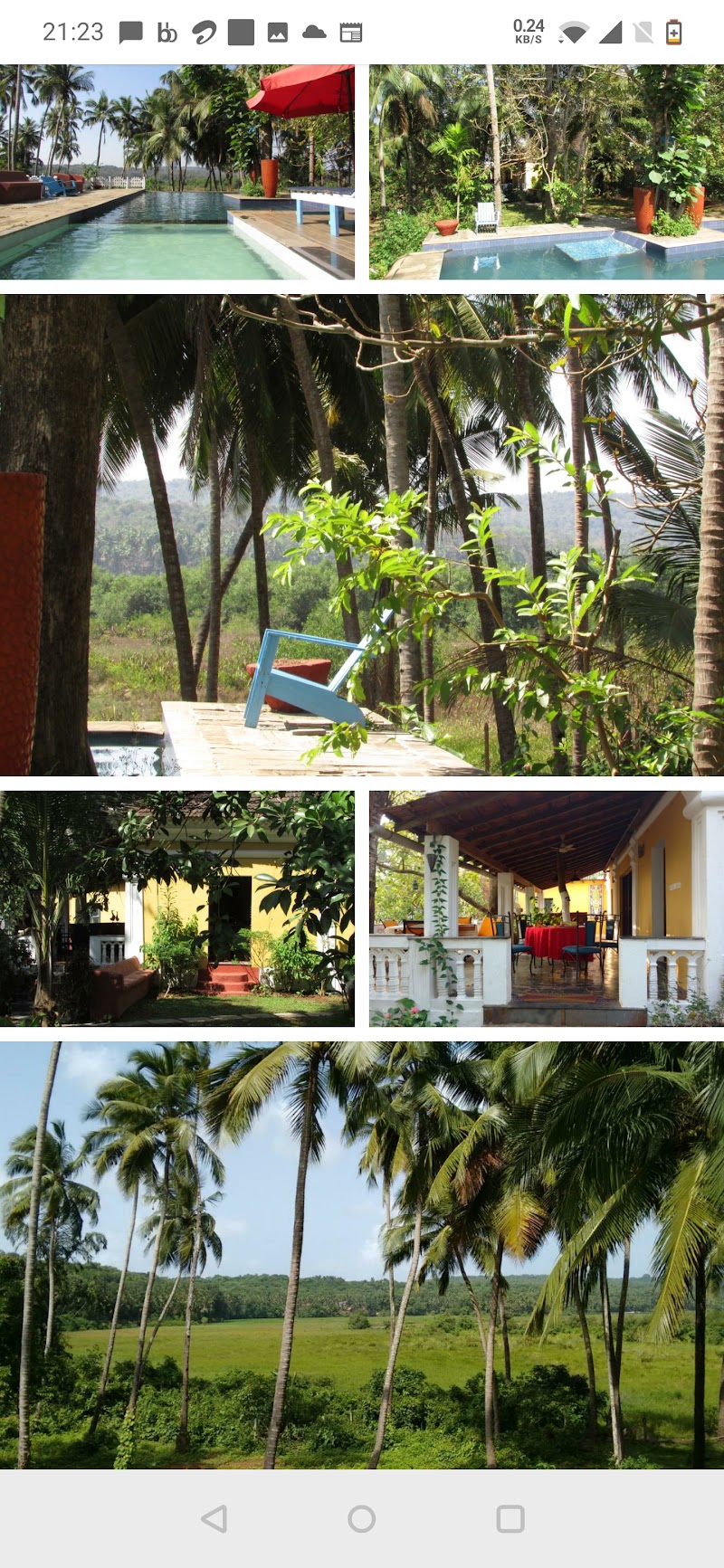 Paulo Cho Vado - Paulo Cho Vado, House.No, 41/12, opp. Datta Mandir, Chikhli Village, Colvale, Chikhli, Goa 403507, India