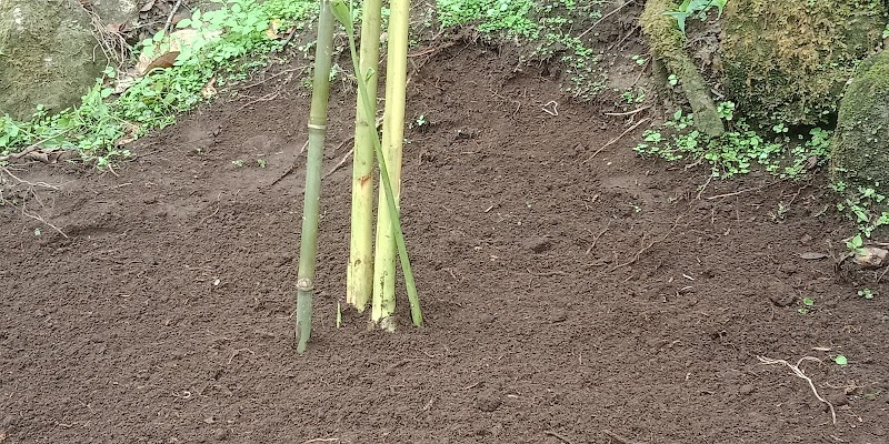 Tea Dale - Tea Dale Pothamedu, Munnar, Kerala 685612, India