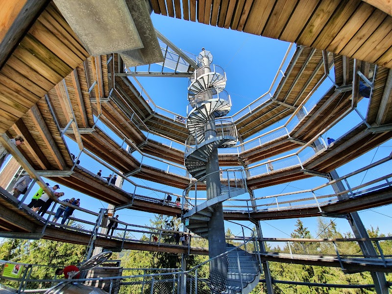 Treetop Trail Lipno - Treetop Trail Lipno, Lipno nad Vltavou 307, 382 78 Lipno nad Vltavou, Czechia