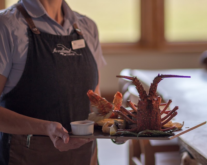 Fiordland Lodge Te Anau - Fiordland Lodge Te Anau, 472 Te Anau, State Highway 94, Te Anau 9679, New Zealand