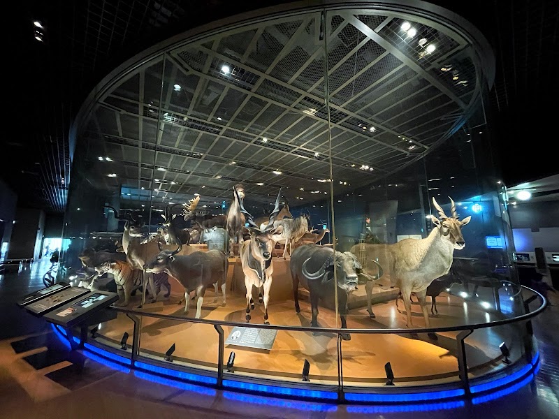 National Museum of Nature and Science - National Museum of Nature and Science 7-20 Uenokōen, Taito City, Tokyo 110-8718, Japan