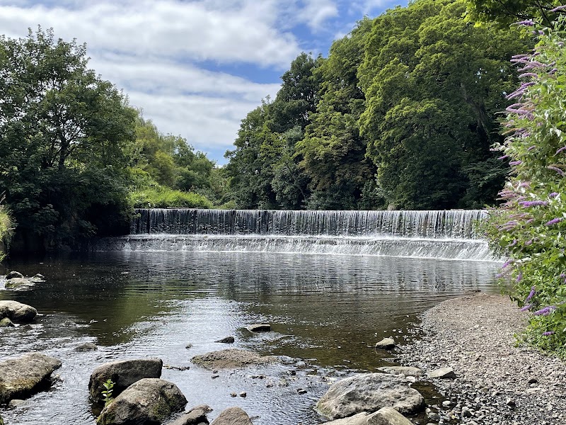 Dartry Park - Dartry Park 54 14 Orwell Gardens, Rathmines Great, Dublin, D14 PT93, Ireland