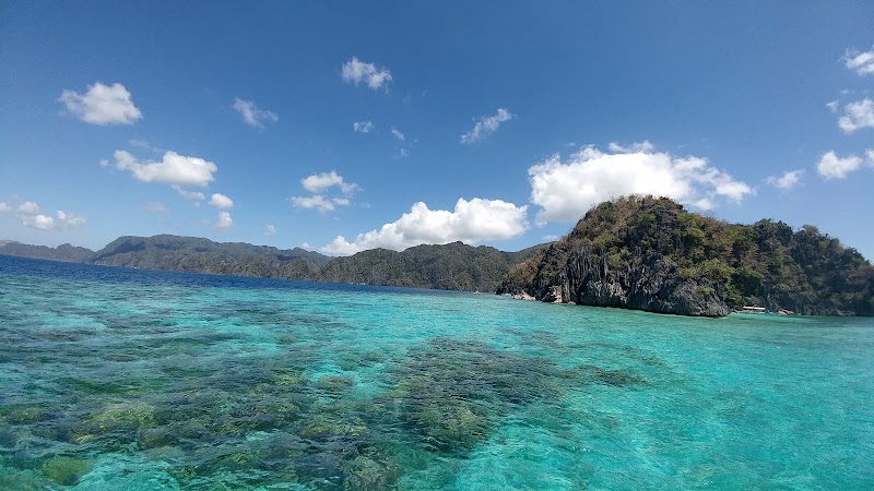 Smith Coral Garden