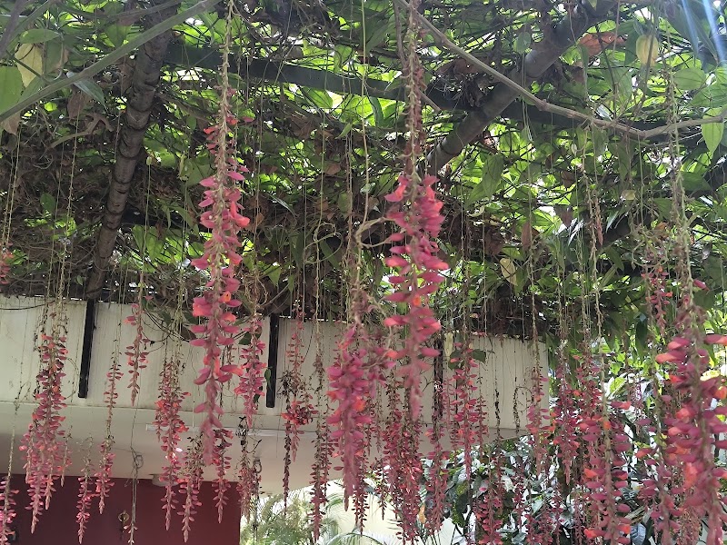 KoraWalks - KoraWalks Heble Park, Koramangala 3 Block, Koramangala, Bengaluru, Karnataka 560034, India