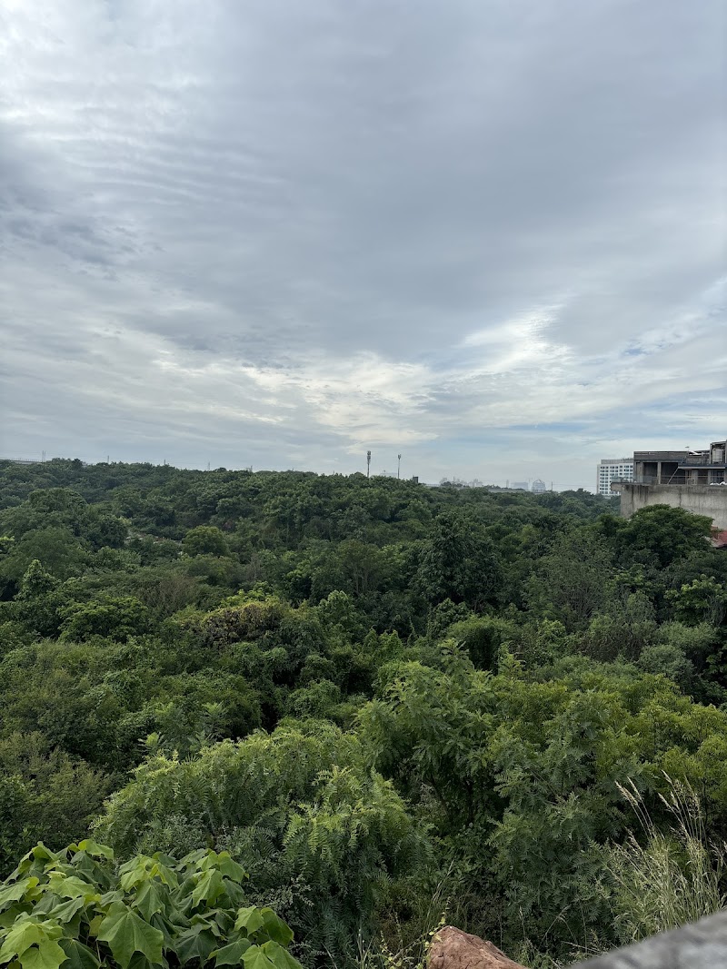 Sunrise point - Sunrise point S-11/7, DLF Phase 3, Sector 24, Gurugram, Haryana 122010, India