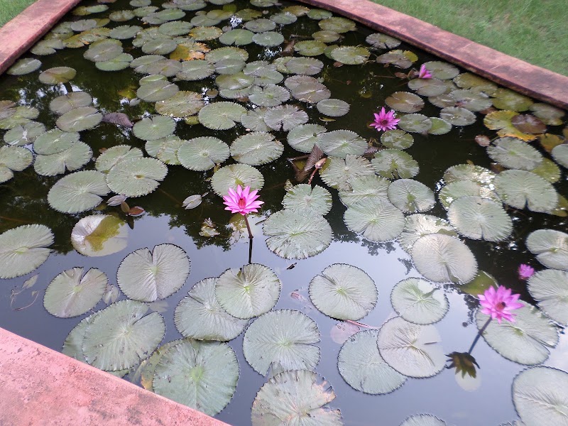 Garden of Remembrance - Garden of Remembrance, 276C+4XP, Theosophical Society, Adyar, Chennai, Tamil Nadu 600020, India