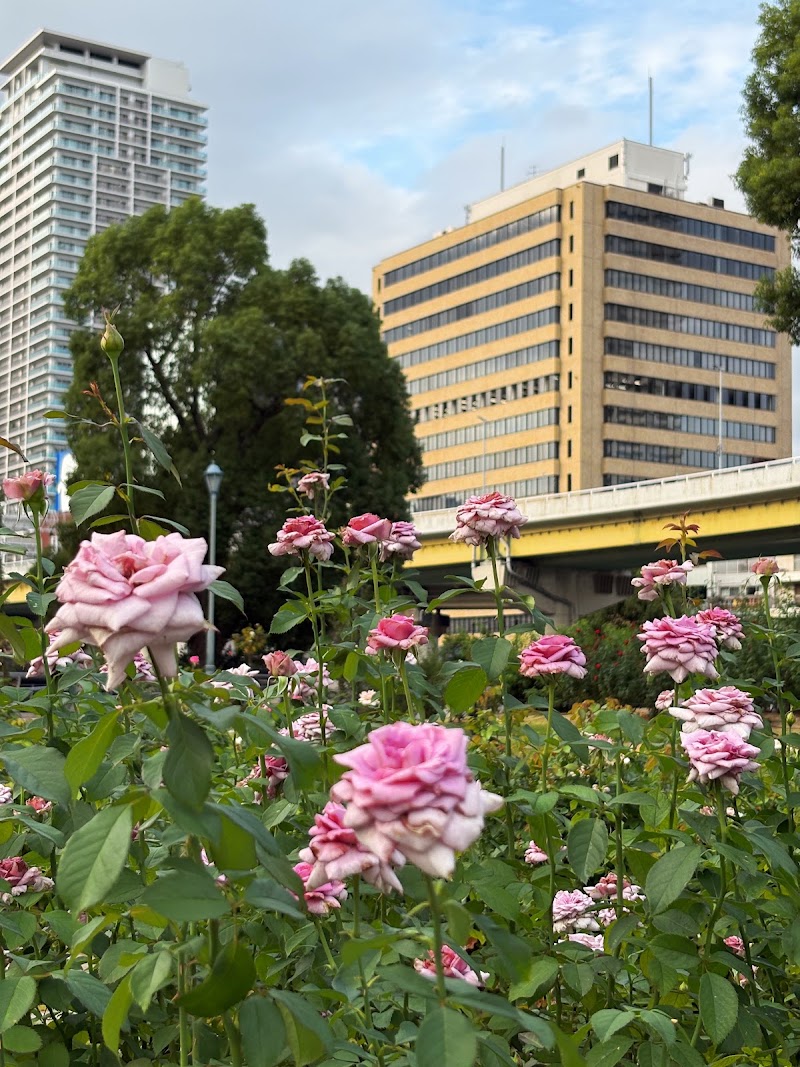 Nakanoshima Park - Nakanoshima Park 1-chōme-1-8 Nakanoshima, Kita Ward, Osaka, 530-0005, Japan