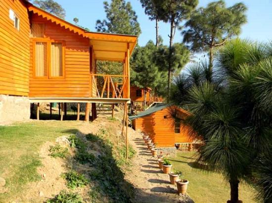 VAYDIC RESORT YOGA RETREAT - VAYDIC RESORT YOGA RETREAT nandoh road, Kasauli, Himachal Pradesh 173204, India