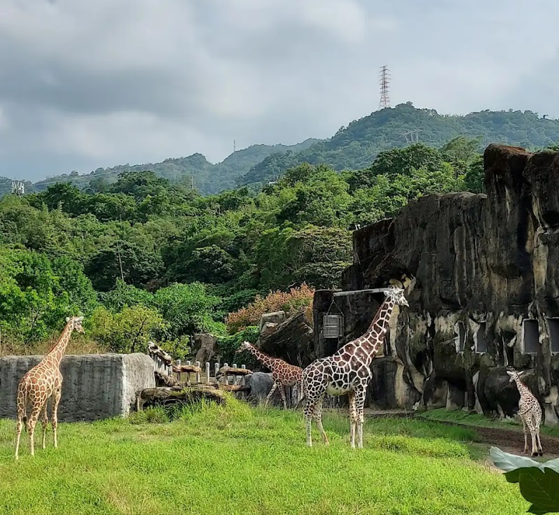 Taipei Zoo - Taipei Zoo, No. 30號, Section 2, Xinguang Rd, Wanxing Village, Wenshan District, Taipei City, Taiwan 116