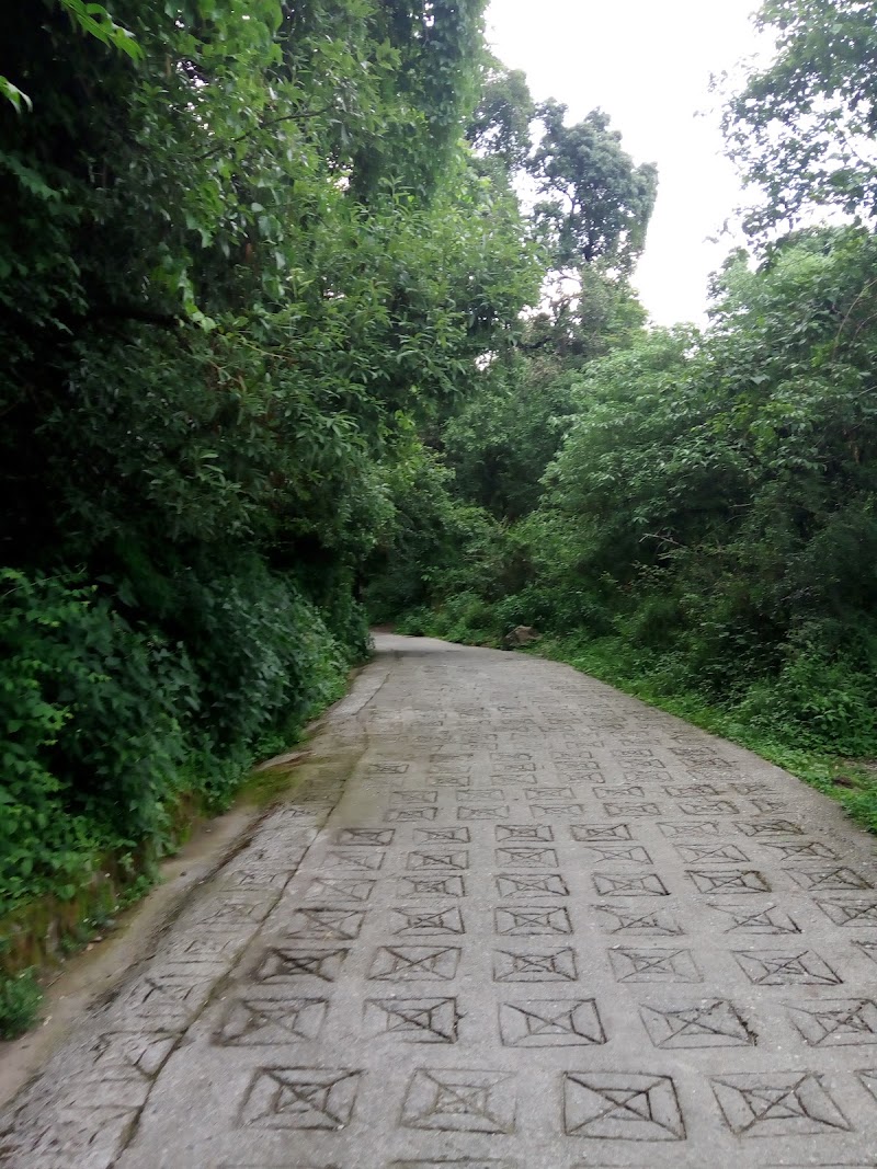 Ayarpatta - Ayarpatta, Nainital, Uttarakhand 263001, India