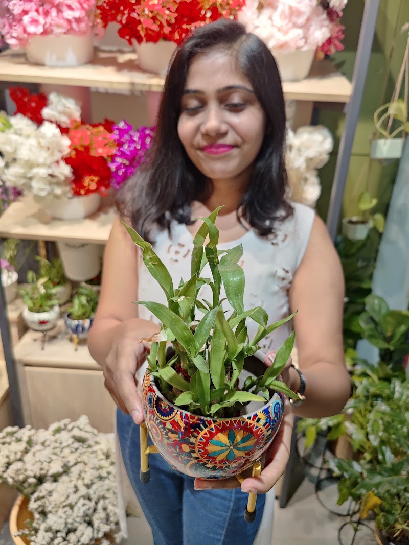FNP- Flowers, Cakes And Gift Hampers - FNP- Flowers, Cakes And Gift Hampers, Shop No B3, Ground Floor, Super Market, Agrasen Chowk, opposite IDBI Bank, Ambedkar Nagar, Bilaspur, Telipara, Chhattisgarh 495001, India
