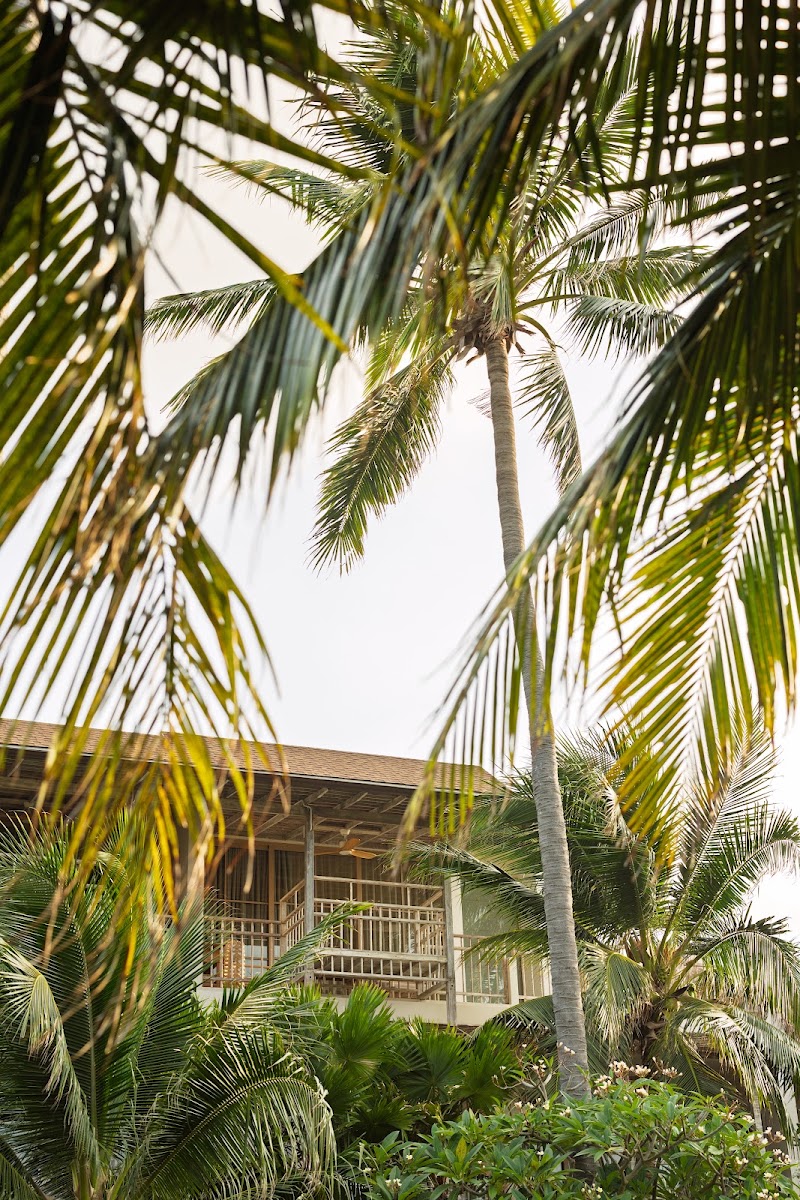 Bayshore Resort - Bayshore Resort, Haad Rin 141, Tambon Ban Tai, Koh Phangan, Chang Wat Surat Thani 84280, Thailand