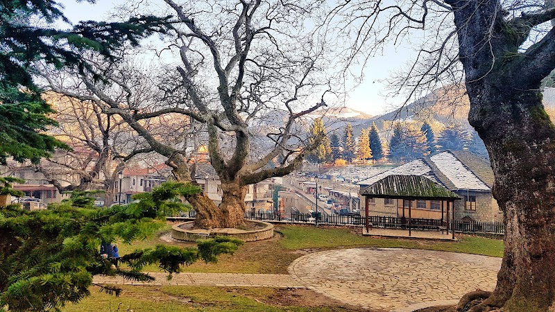 Metsovo - Metsovo Metsovo 442 00, Greece