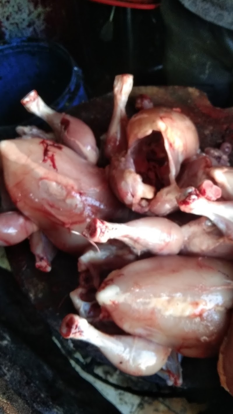 Kumaun Chicken Shop 786 - Kumaun Chicken Shop 786, 011 Main Chauraha Bhowali, Bhowali, Sukha, Uttarakhand 263132, India