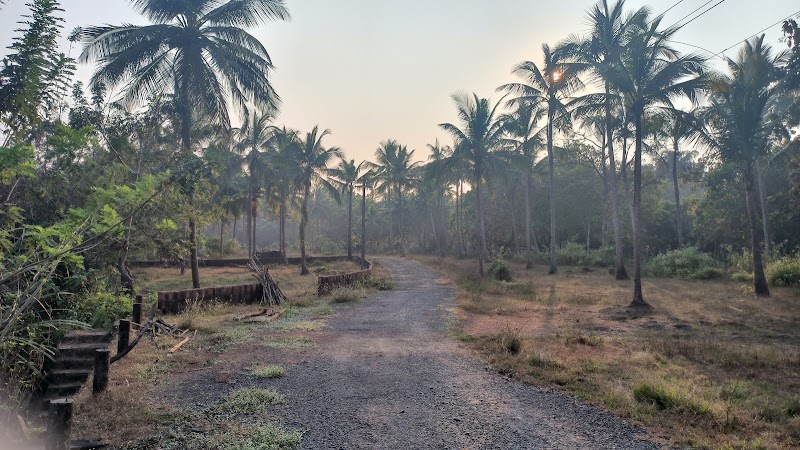 Zariwada Spring Cortali - Zariwada Spring Cortali 647V+QGF, Kotarli, Goa 403704, India