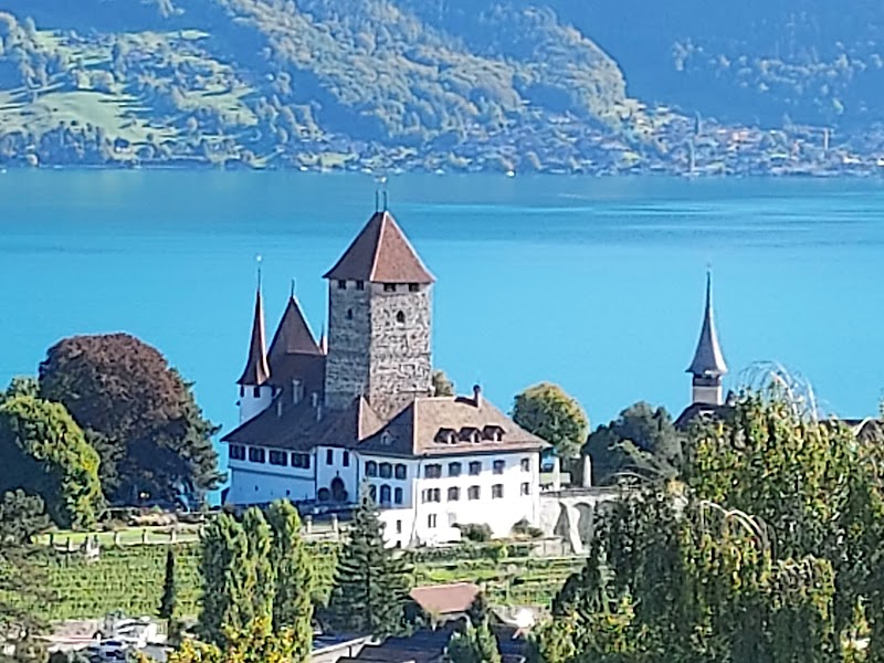 Schloss Spiez - Schloss Spiez, Schlossstrasse 16, 3700 Spiez, Switzerland