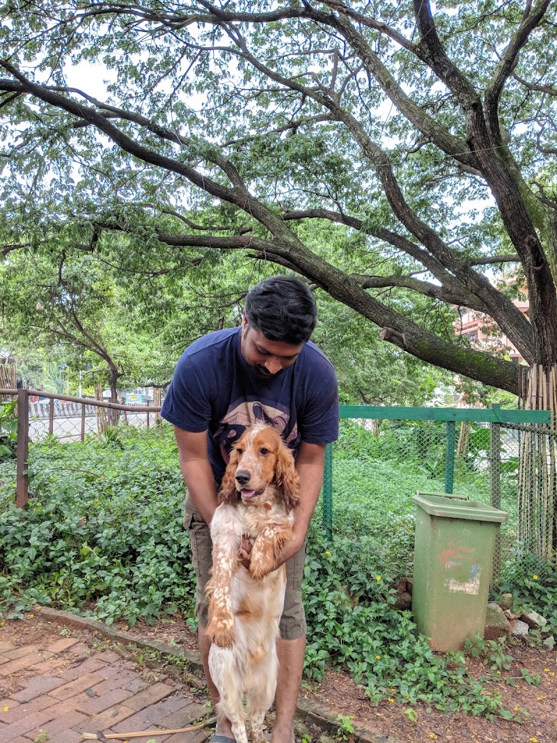 Domlur Dog Park - Domlur Dog Park, XJ6P+CM6, Domlur I Stage, 1st Stage, Domlur, Bengaluru, Karnataka 560071, India