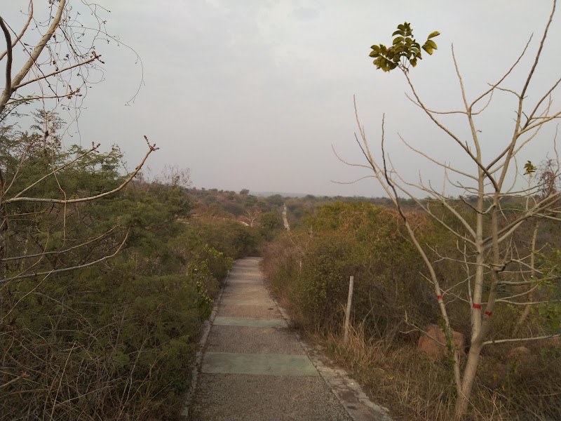 Aravali Biodiversity Park - Aravali Biodiversity Park F4J6+PJ4, Acharya Shree Tulsi Marg, DLF Phase 3, Sector 24, Gurugram, Haryana 122002, India