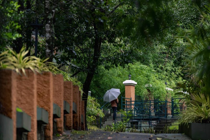 Banasura Jungle Resort by Z Vacations - Banasura Jungle Resort by Z Vacations Pulinjal, Vellamunda, Kerala 670731, India