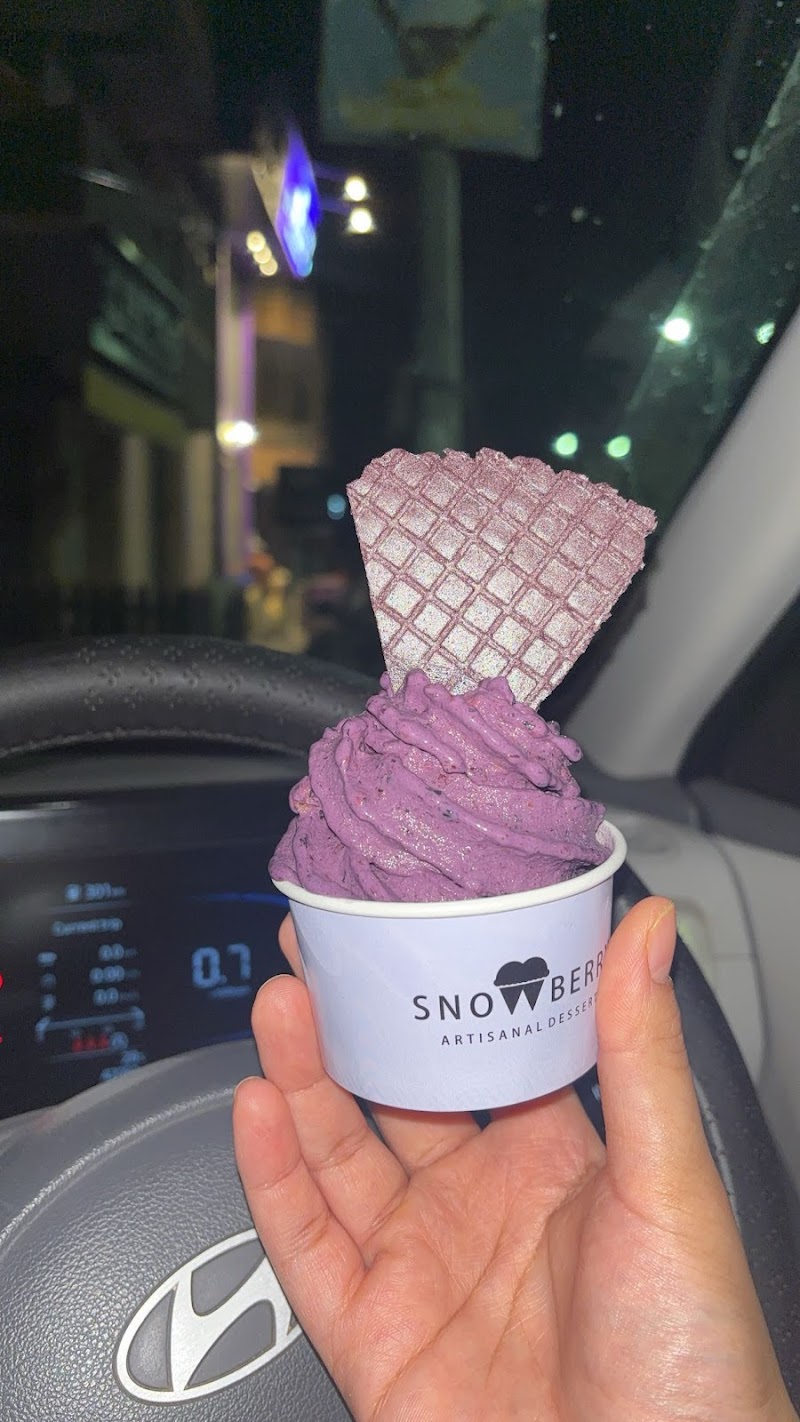 SNOWBERRY - Artisanal Desserts - SNOWBERRY - Artisanal Desserts 589, 11th B Rd, Sardarpura, Jodhpur, Rajasthan 342003, India