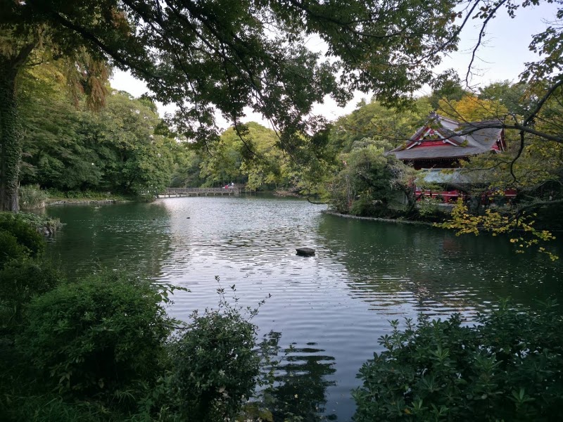 Inokashira Park Zoo - Inokashira Park Zoo, 1-chōme-17-6 Gotenyama, Musashino, Tokyo 180-0005, Japan